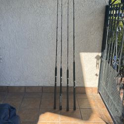 Lamiglas insane Saltwater Fishing Rod