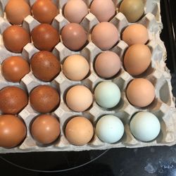 Organic eggs  $5 For One Dozen 