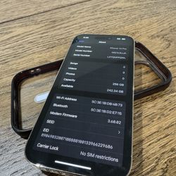iPhone 14 Pro