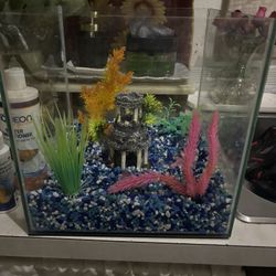Fish Tank with Decorations + Water Treatments β $45