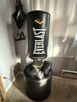 Punching Bag With Gloves $150