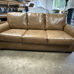 Sleeper Sofa