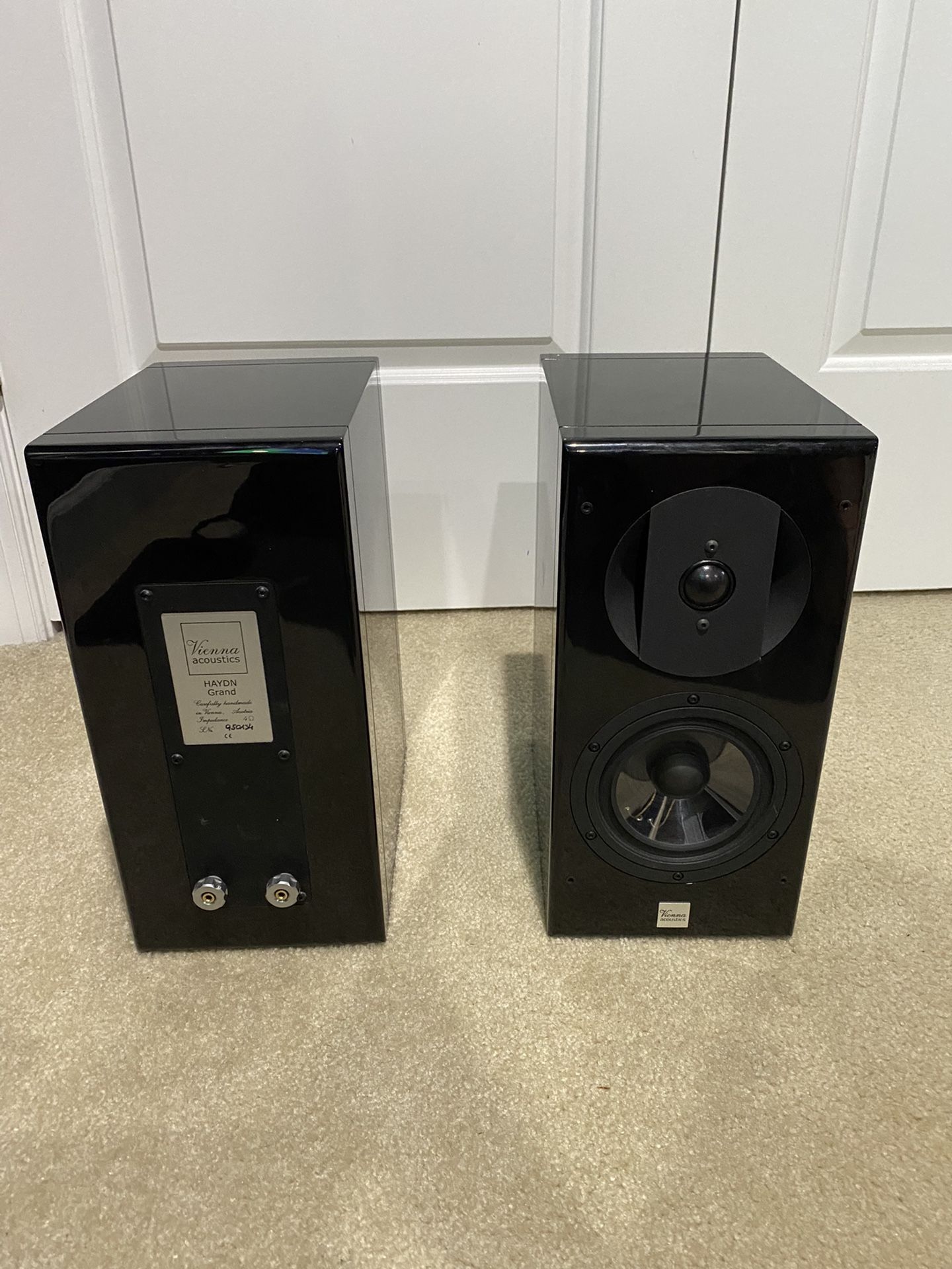 Speaker Pair Vienna Acoustics Hayden Grand Piono