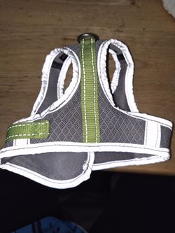 Very small Dog Harness