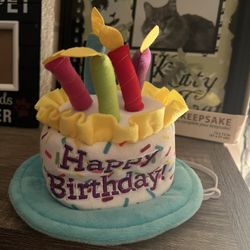 Dog/cat Birthday Hat 