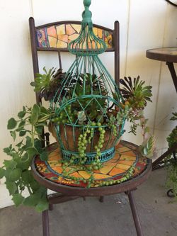 Beautiful bird cage with succulent plants