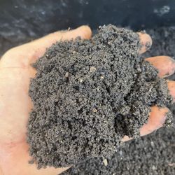Local Worm Castings For Sale 