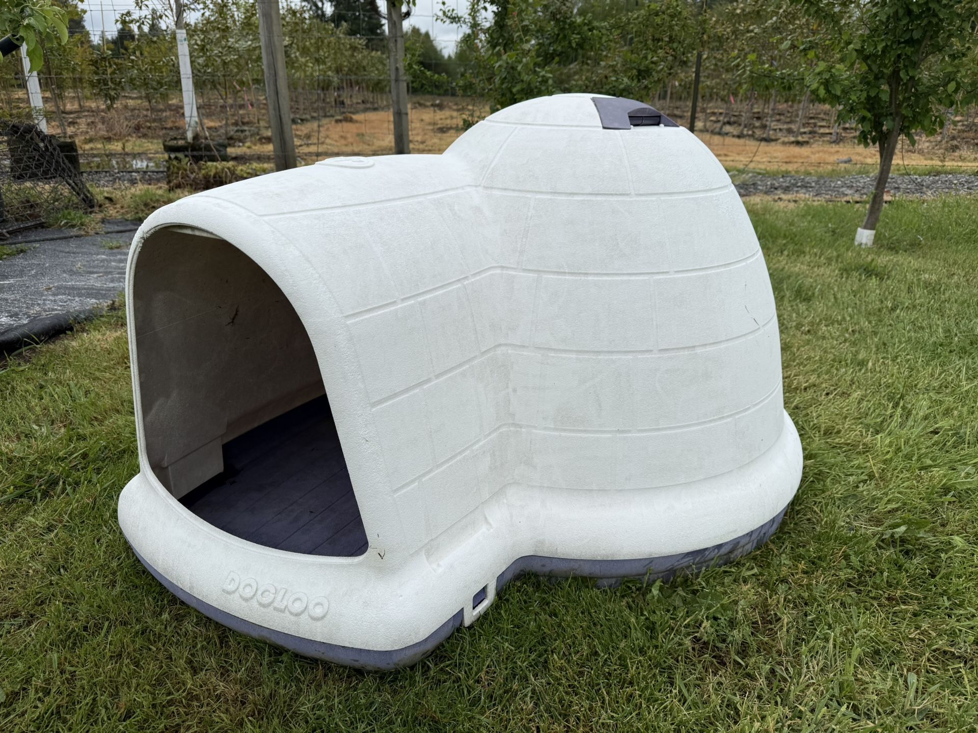 Dog Igloo /Dog House Large Dog In Great Shape Basically Like New