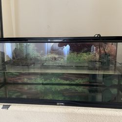 Turtle Tank 30gal