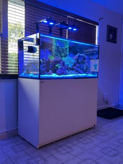REEFER 425 G2 7 months used FISH NOT INCLUDED