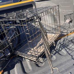 Dog Crate 