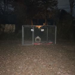 Dog Kennel