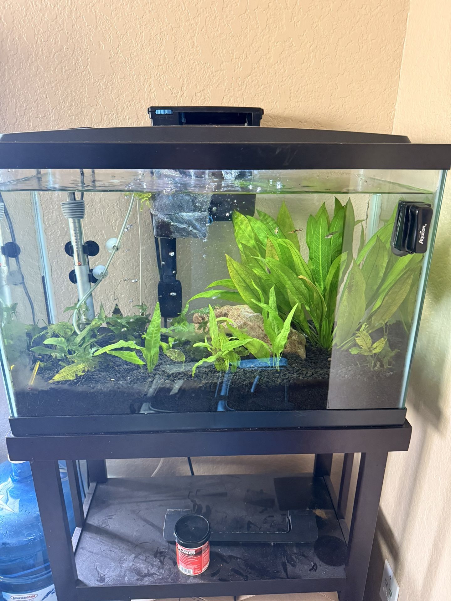 20 Gallon Fish Tank 