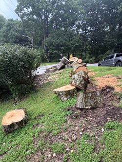 Free firewood