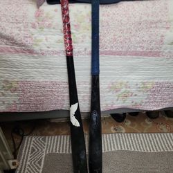 Baum Bat and Sam Bat