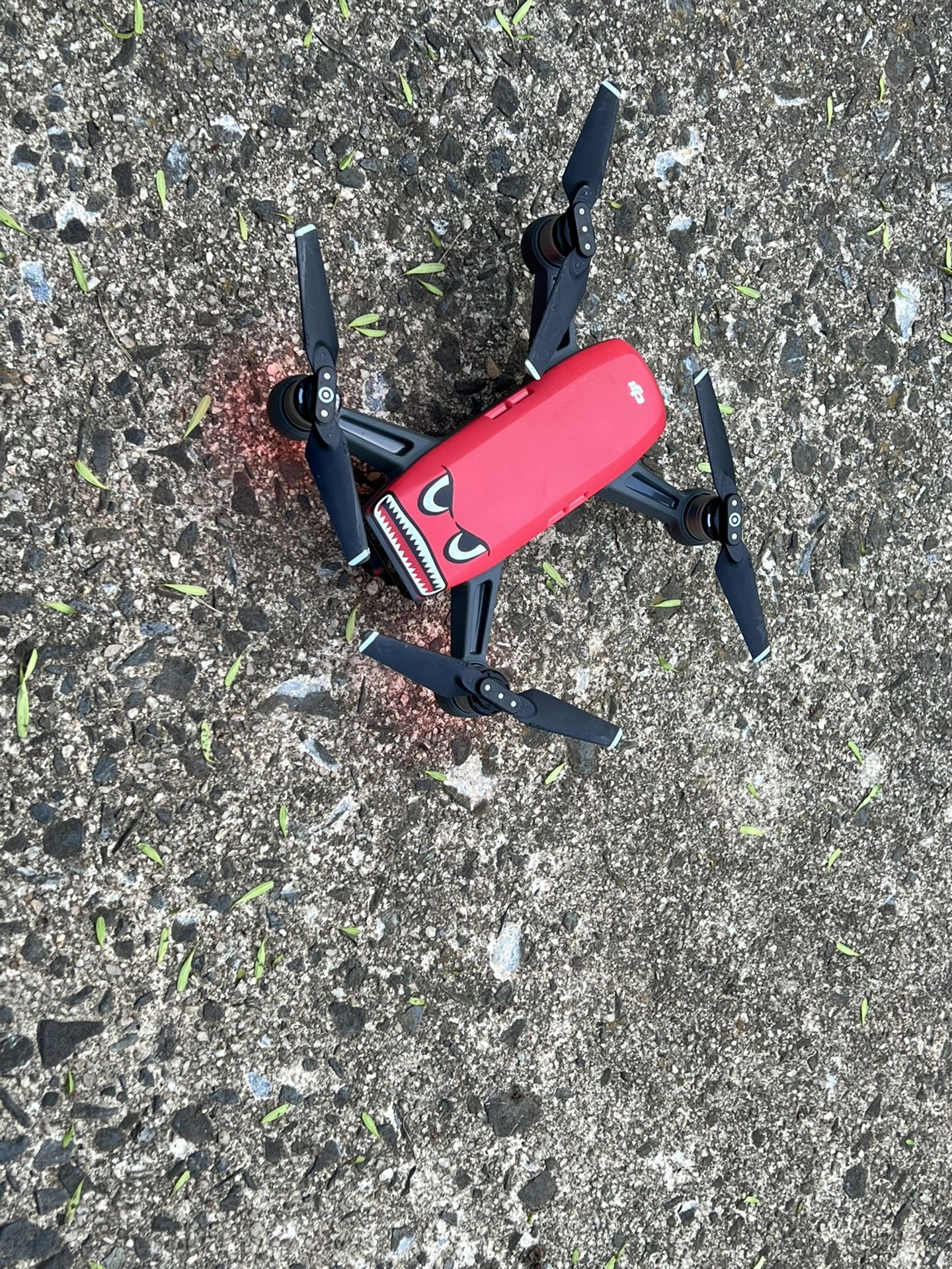 Drone DJI