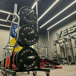 NEW Bumper Plates, Rubber Olympic Weights, Home Gym Weight Set, Folding Squat Rack, Adjustable FID Bench Press, Stall Mats, Rubber Flooring 