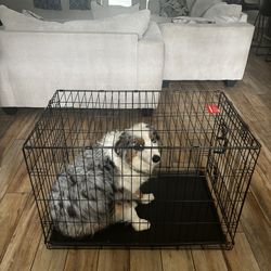 Large Dog Crate