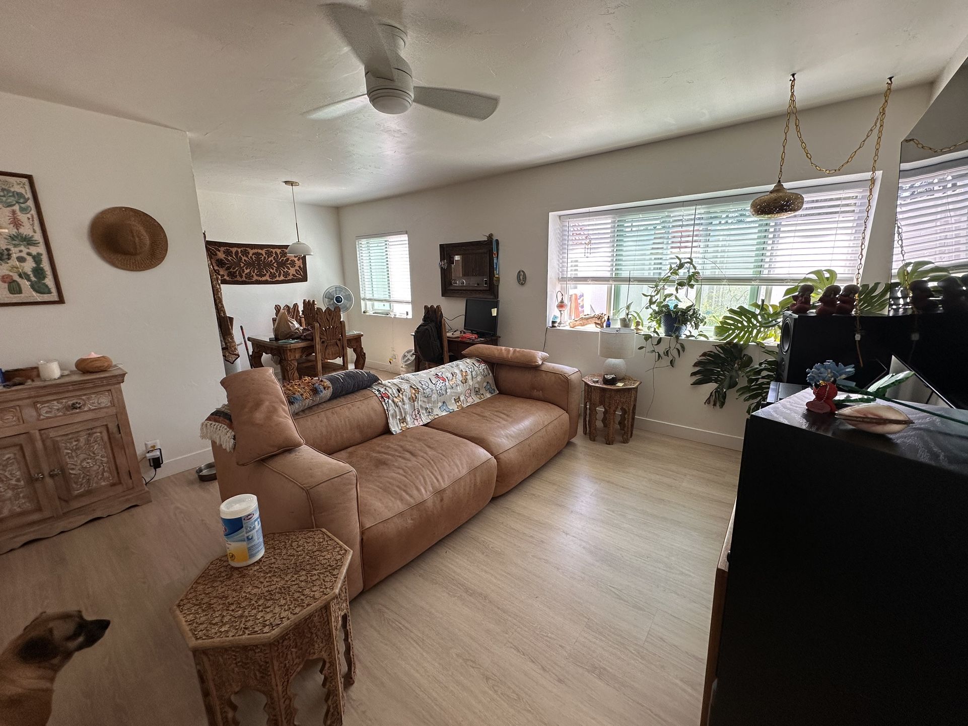 Sofa Couch