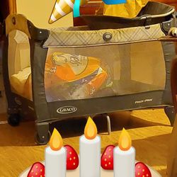 Graco Pack N Play Crib