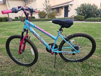 Rallye Descent Mountain Bike 18 speed Blue Pink 24 inches