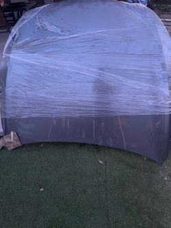 Q60 oem hood