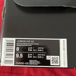 LeBron XVII