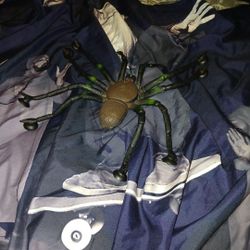 Spider Toy