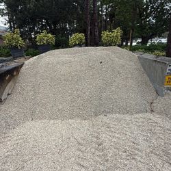 Pea Rock - Yard