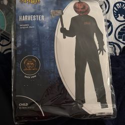 Halloween Costume 