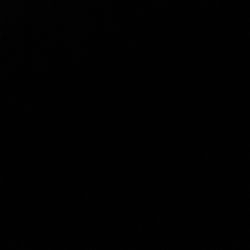 Gold Victorian hand carved furniture