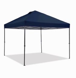 Members Mark 10’X10’ Instant Canopy EasyLift Technology Brand New In Box