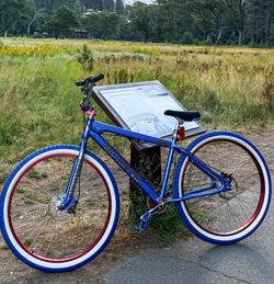 SE Big Ripper HD BMX 29