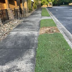 I Pressure Wash Drive Ways,houses And Etc.with A Affordable Price