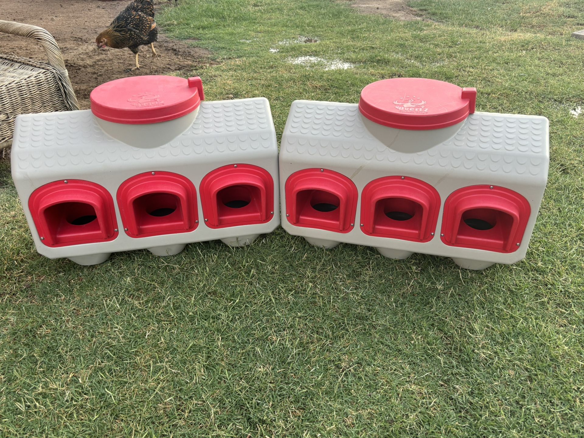 Chicken Feeders.