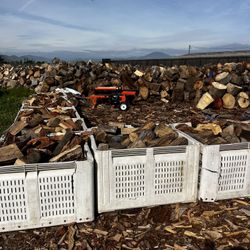 Firewood 