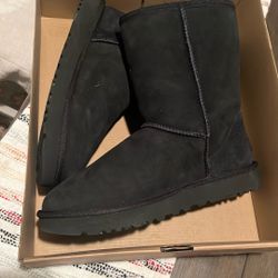 uggs classic short II