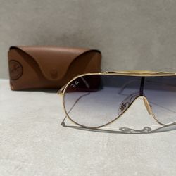 RayBan Wings Sunglasses 