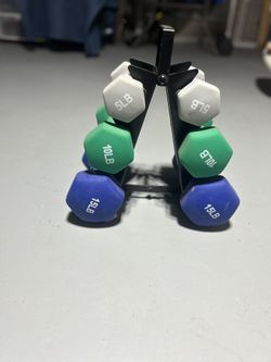 Assorted Barbells On A Rack