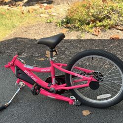 Co-pilot bike Trailer
