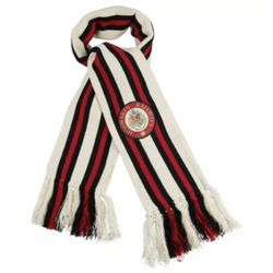 Universal Studios Wizarding World Harry Potter Hogwarts Railway Striped Scarf