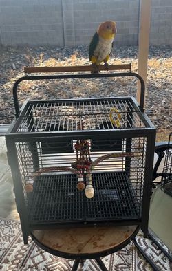 CHEW PROOF TRAVEL BIRD CAGE