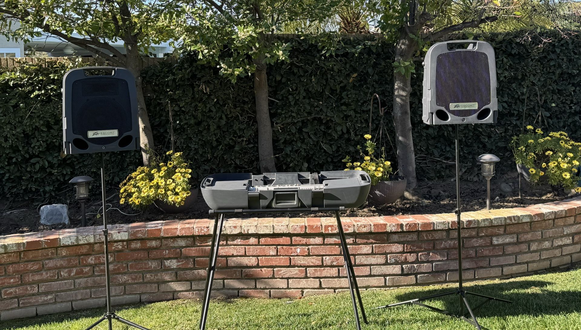 Peavey Escort Portable PA System