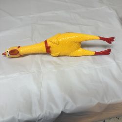 Squeaky chicken squeeze toy