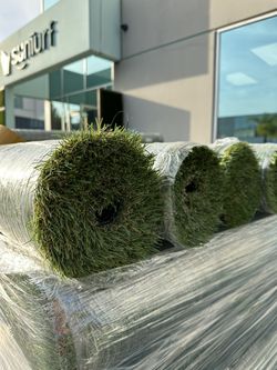 Baby turf on Sale 