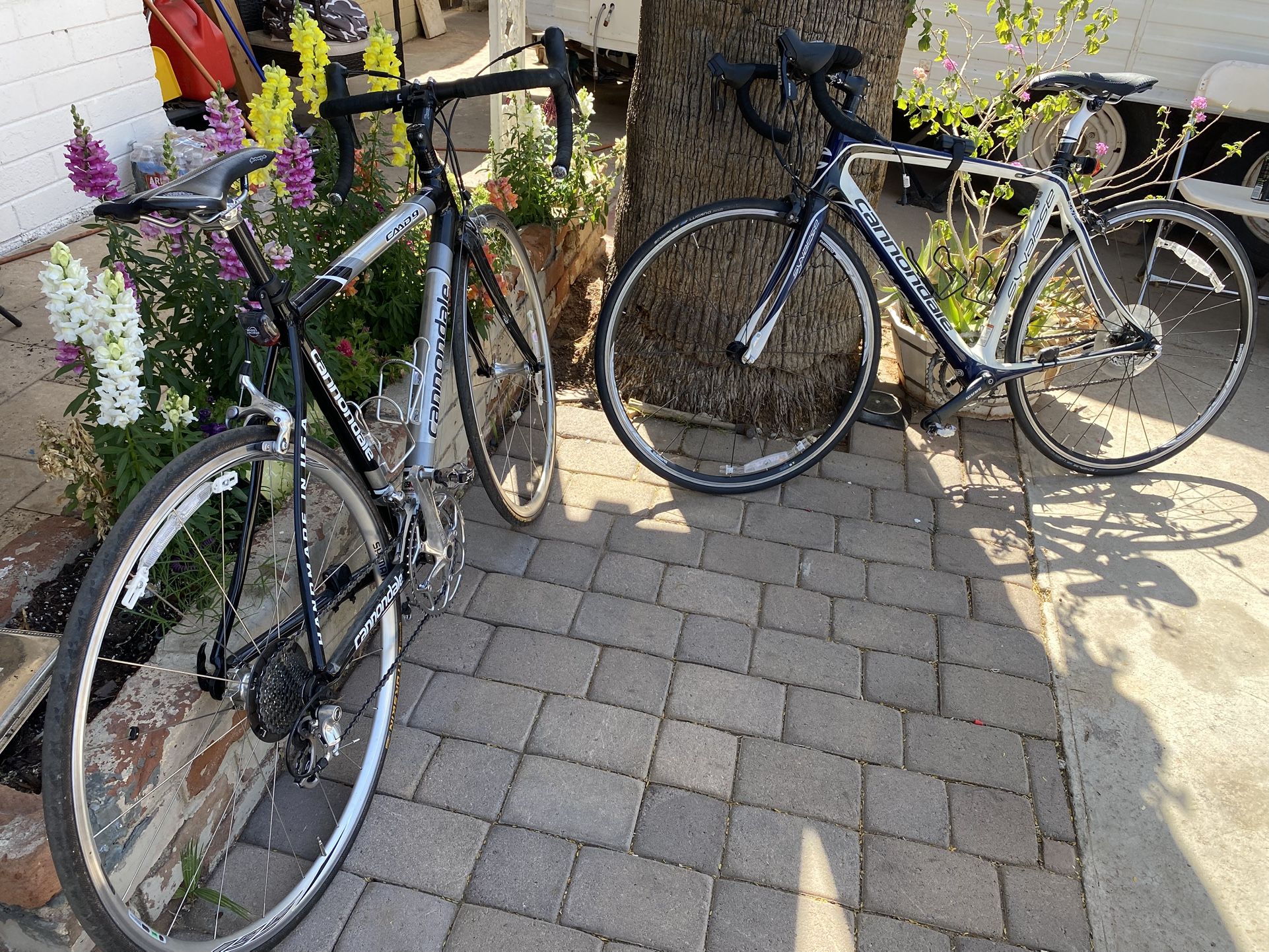 Cannondale 9 And Cannondale 6