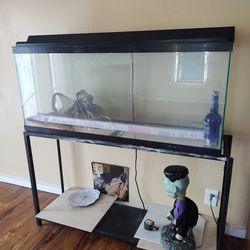 80 Gal Fish Tank And Stand