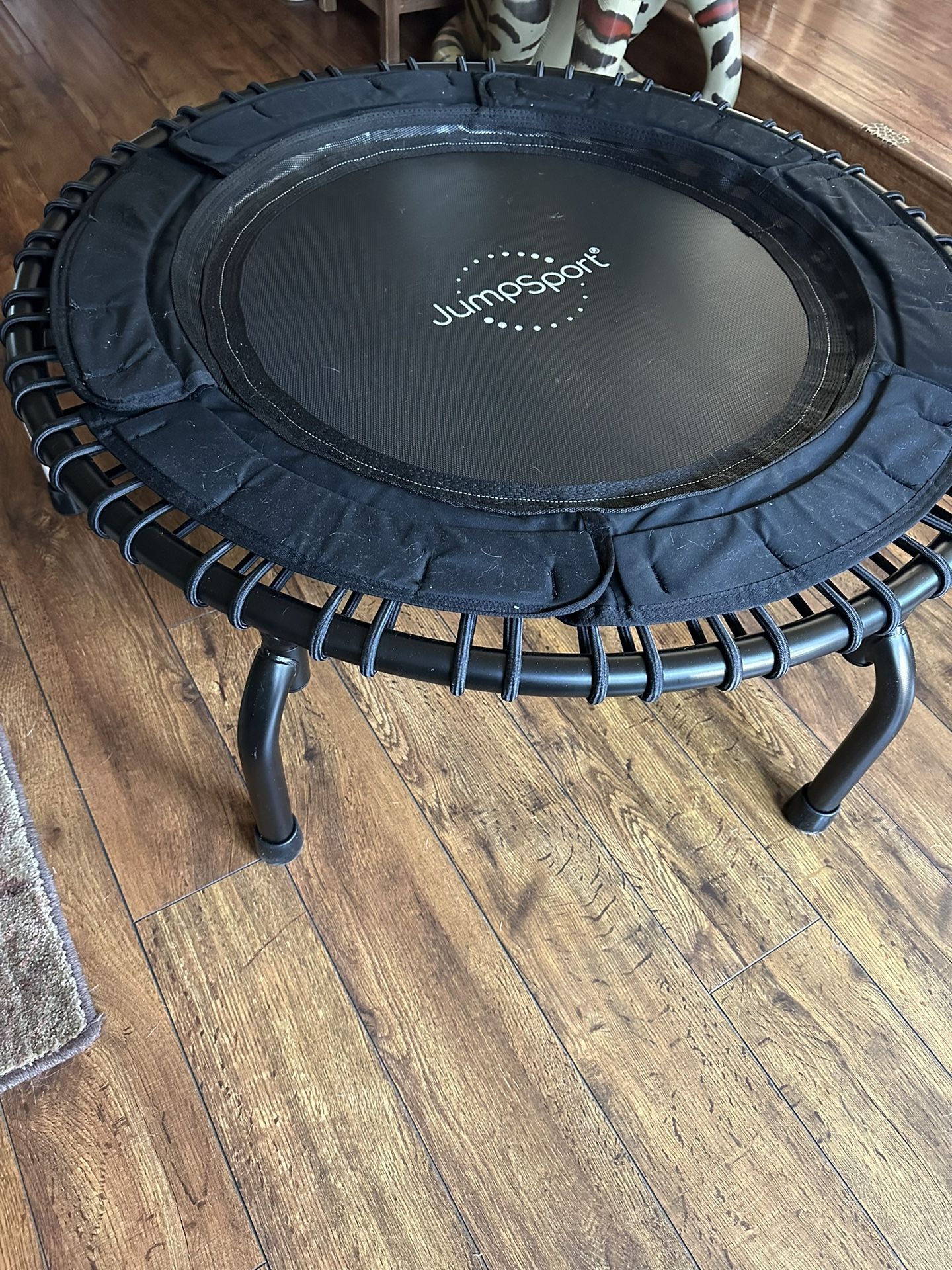 Barely Used, Jumps port Mini Trampoline Rebounder