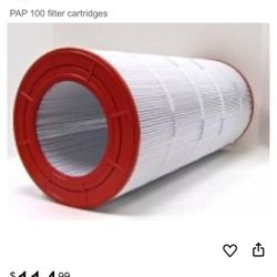 Pentair Clean and Clear 100 SQFt PREDATOR CARTRIDGE ELEMENT PAP100 SPG