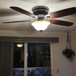 Ceiling Fan